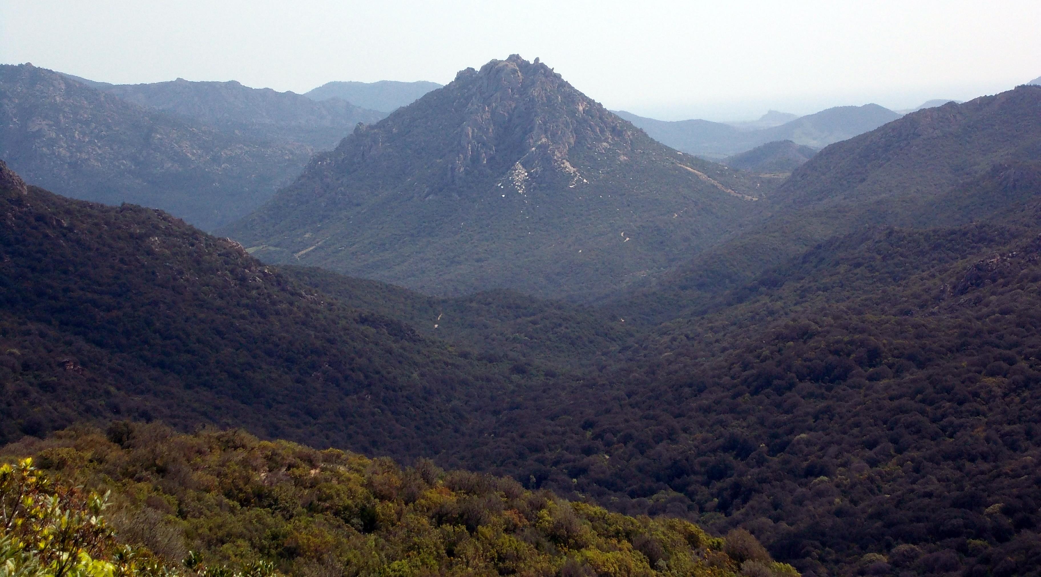 Monte Tepilora panoramica dall'alto del 210