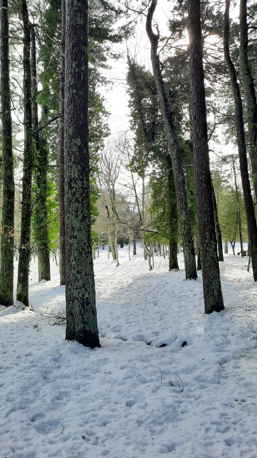 Area di sosta di Sa Minda in versione invernale