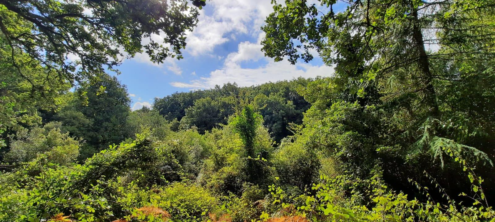 Panorama dalla Area di sosta di Sa Minda