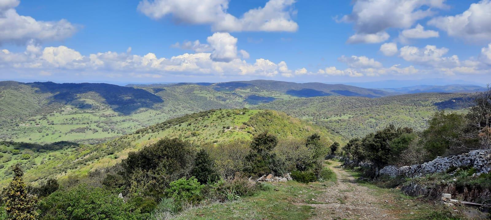 Foresta Anela, Punto Panoramico