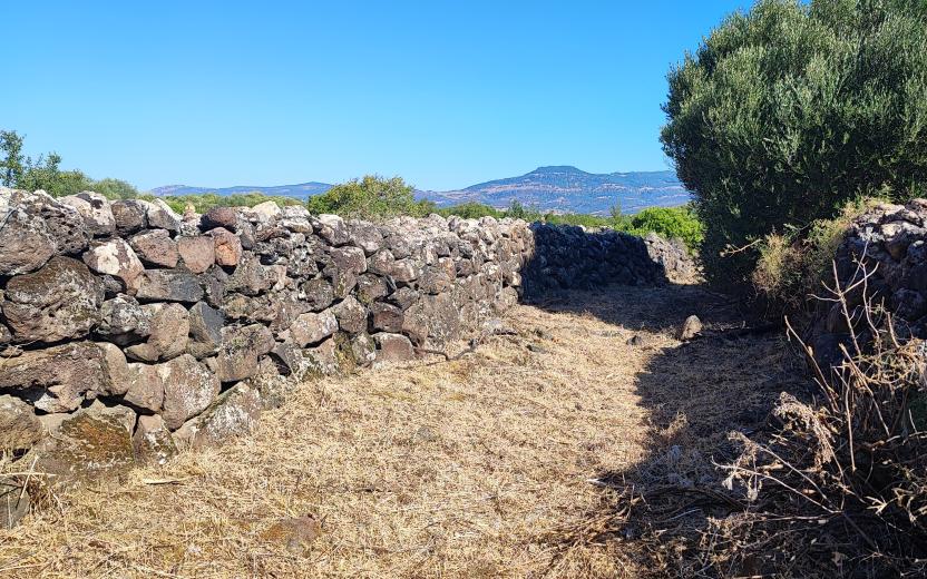 Panorama verso il Marghine