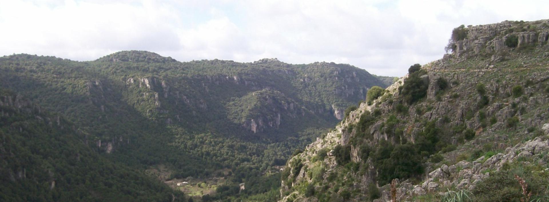 Panorama dal sentiero T-102.jpg