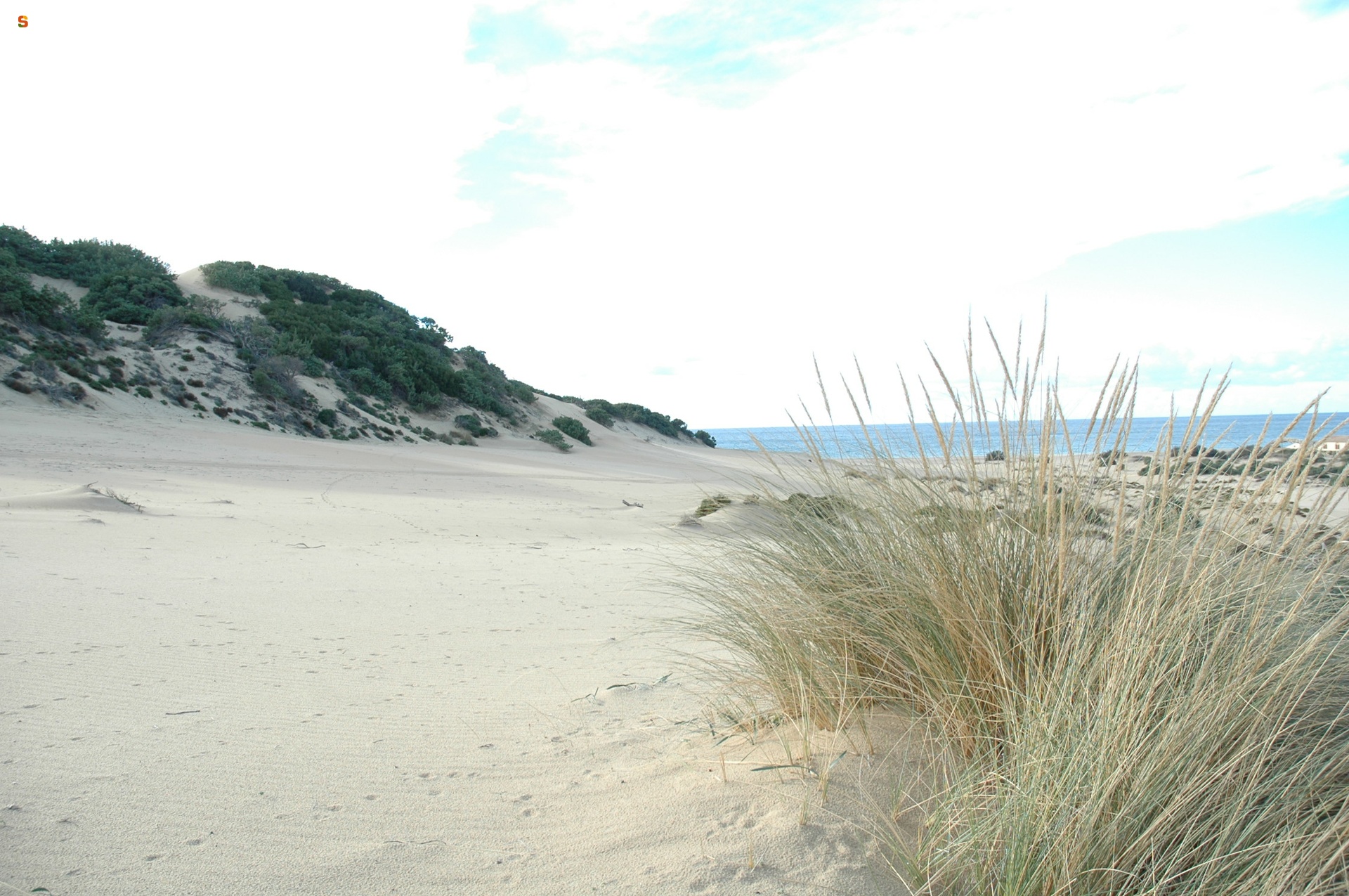 Spiaggia di Piscinas, le dune