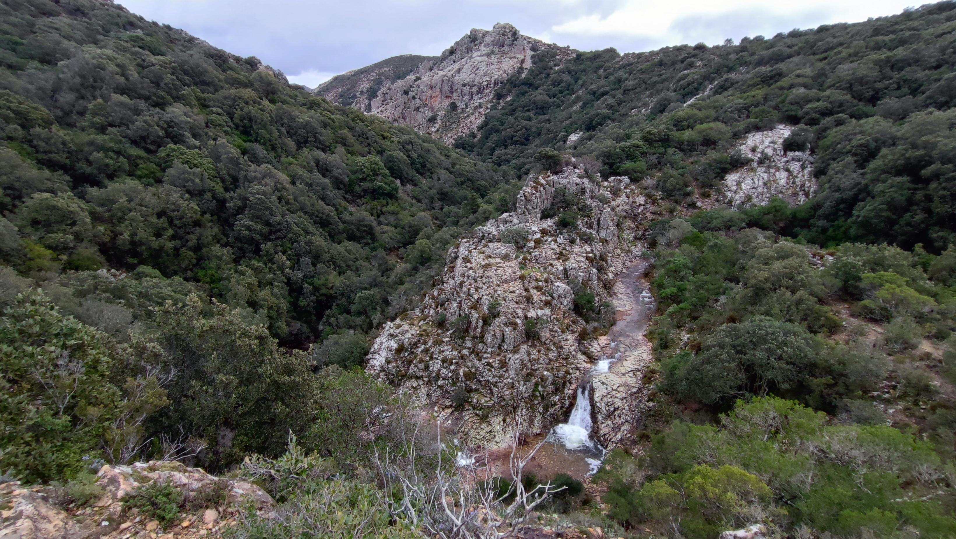 Is caddaias de Muru Mannu, lungo il sentiero 115