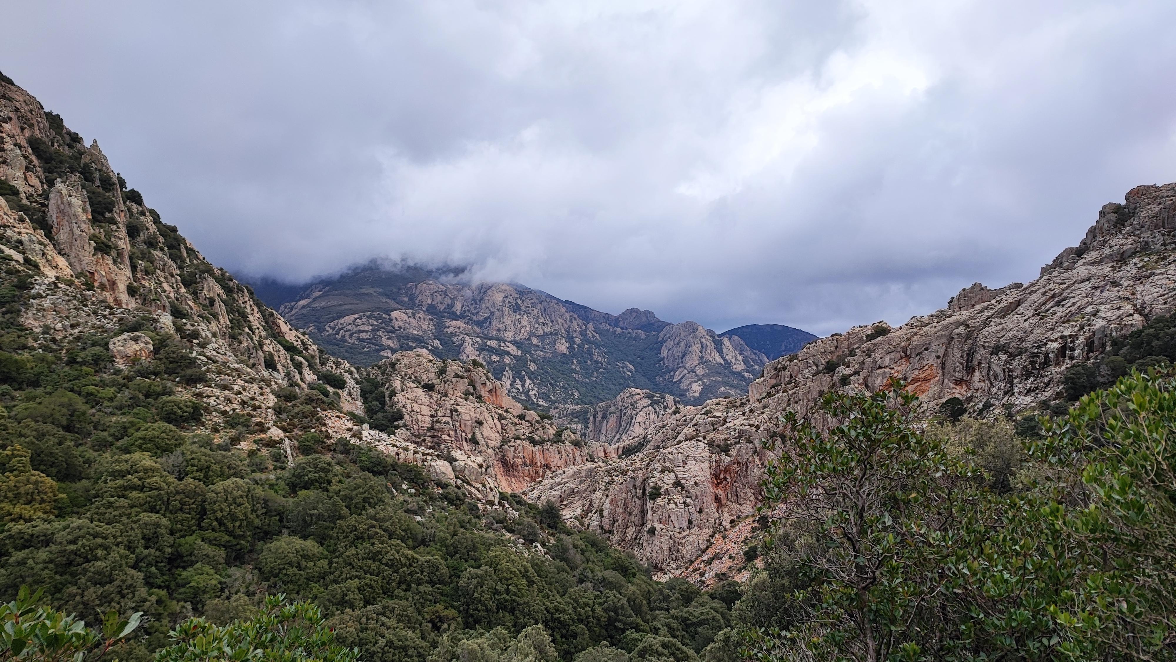 vista sulla vallata del rio Muru Mannu (e is caddaias omonime) e Punta Acqua Zinnigas nell sfondo