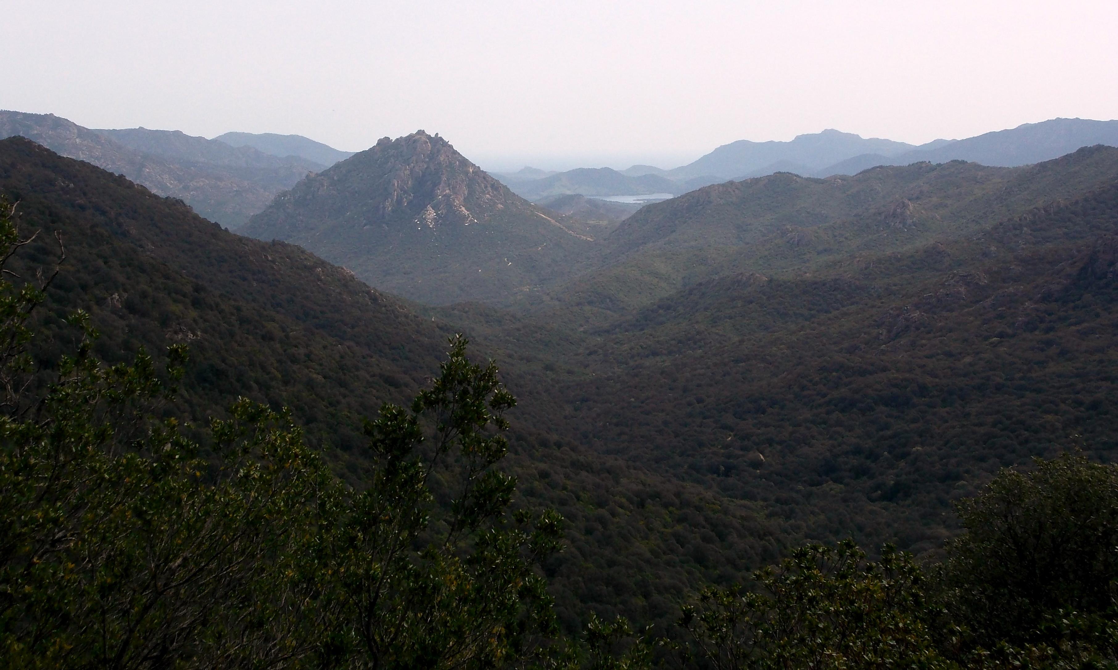 Panoramica sul Tepilora e vallata boscosa