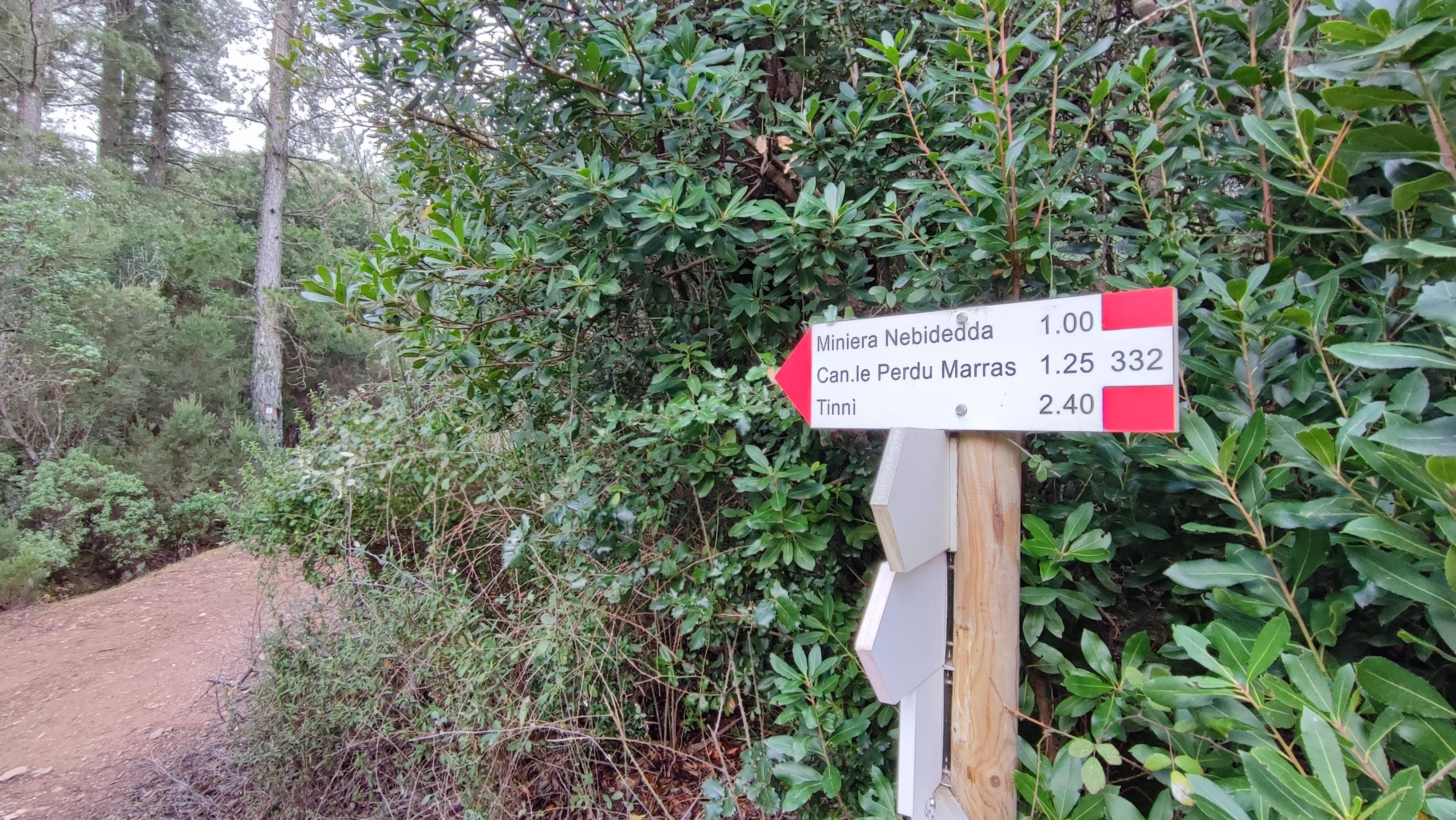 Scoveri. Arrivo del 132, partenza del sentiero 332 del Marganai