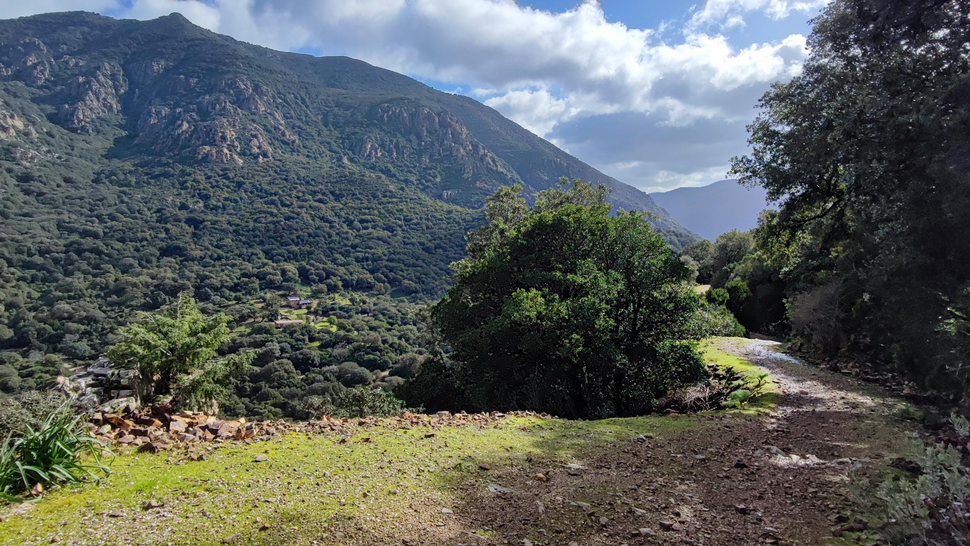 Slargo panoramico lungo il 132.