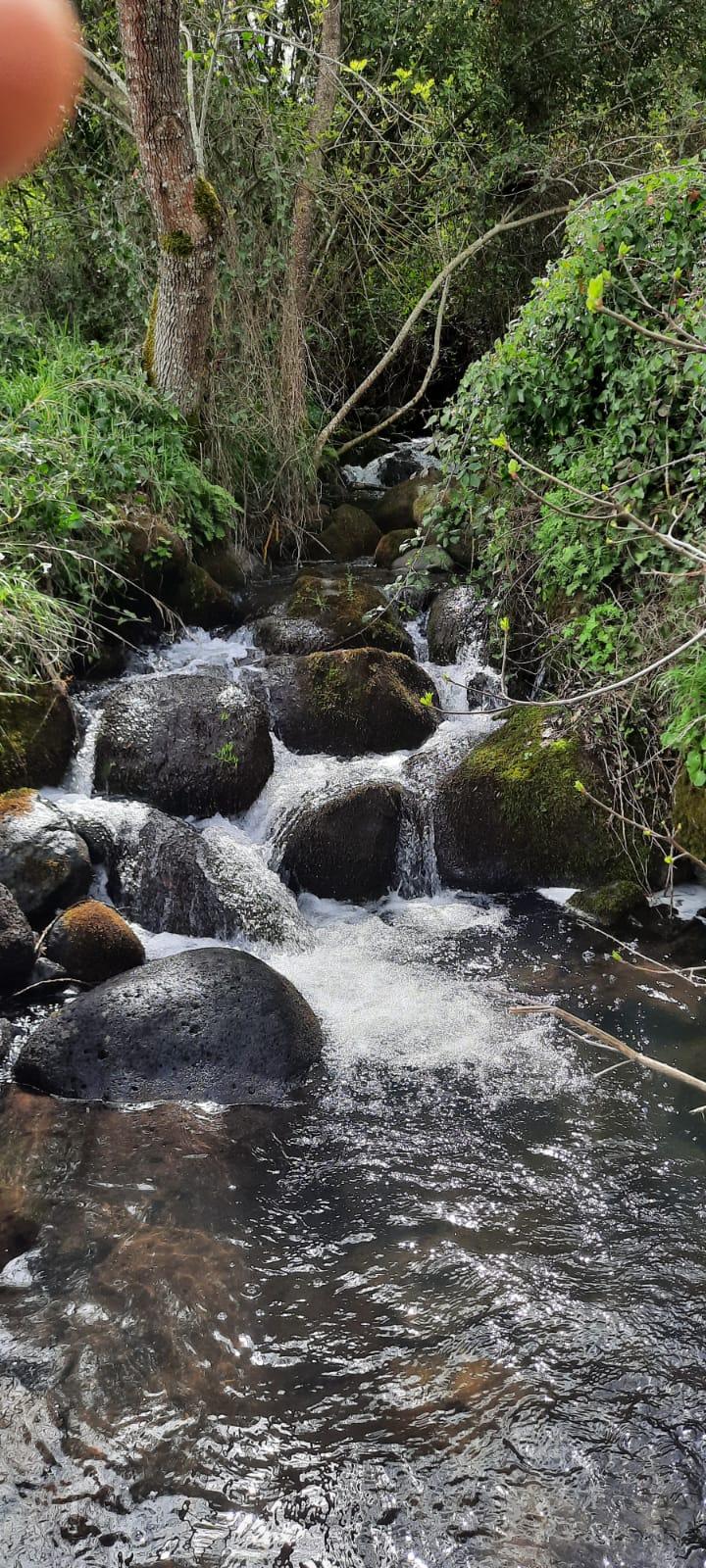 Corso d'acqua