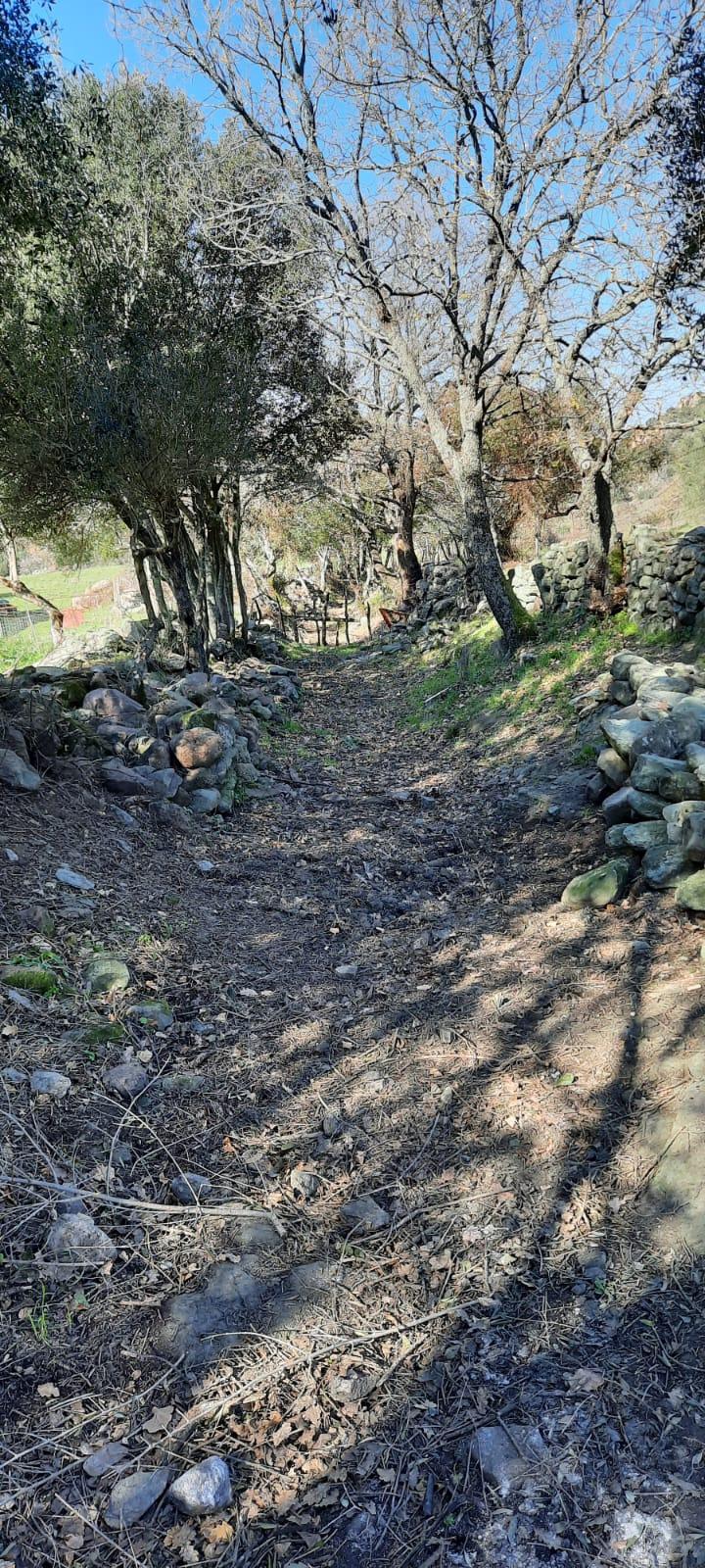 Sentiero nei pressi di monte Cannas