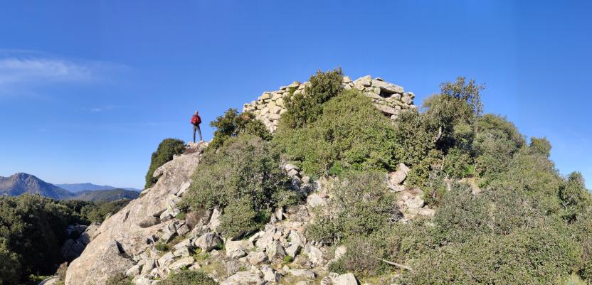 Nuraghe presso Settefratelli, Sfinge