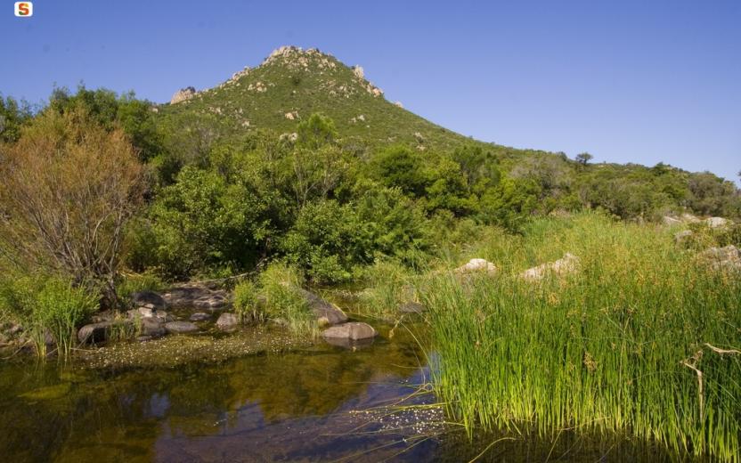 Bitti, parco naturalistico di Tepilora