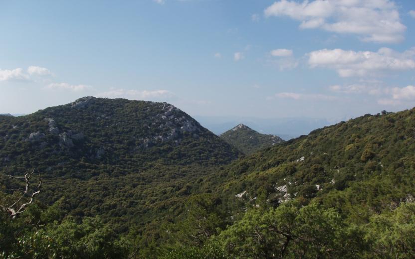 Foresta Demaniale di Altudè