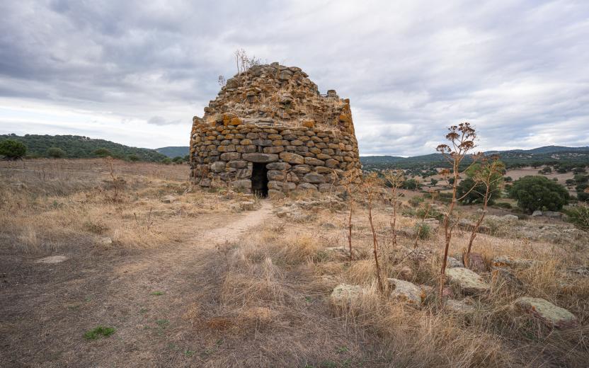 oniferi - nuraghe ola