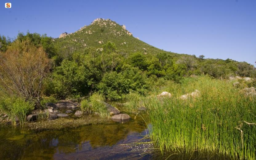 Bitti, parco naturalistico di Tepilora