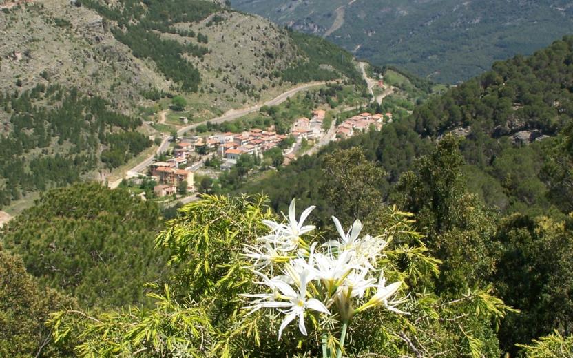 Gairo, panorama della frazione di Taquisara