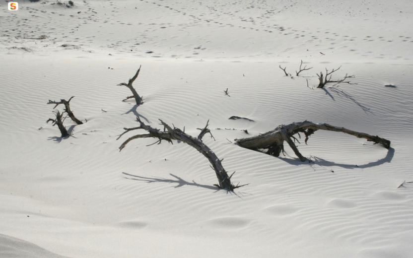 Le dune di Porto Pino