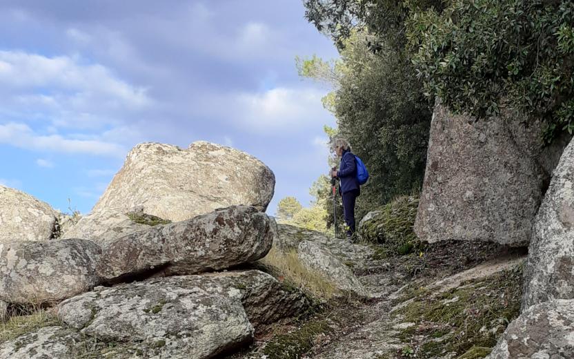 Monte Limbara - sentiero 406