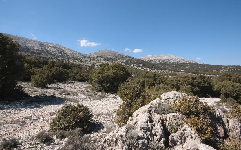 Montes, panorama. Sullo sfondo i rilievi calcarei di Gattinarvu, Punta Lolloine e Punta sa Pruna