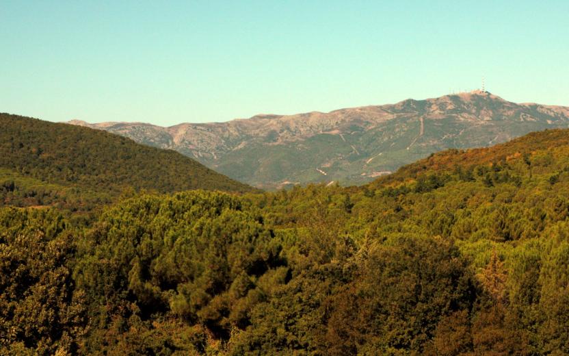 Panorama verso Serpeddì