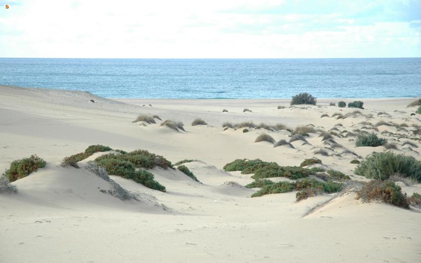 Spiaggia di Piscinas, le dune