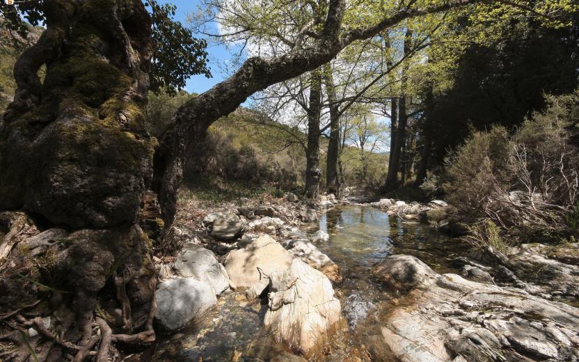 Supramonte di Orgosolo