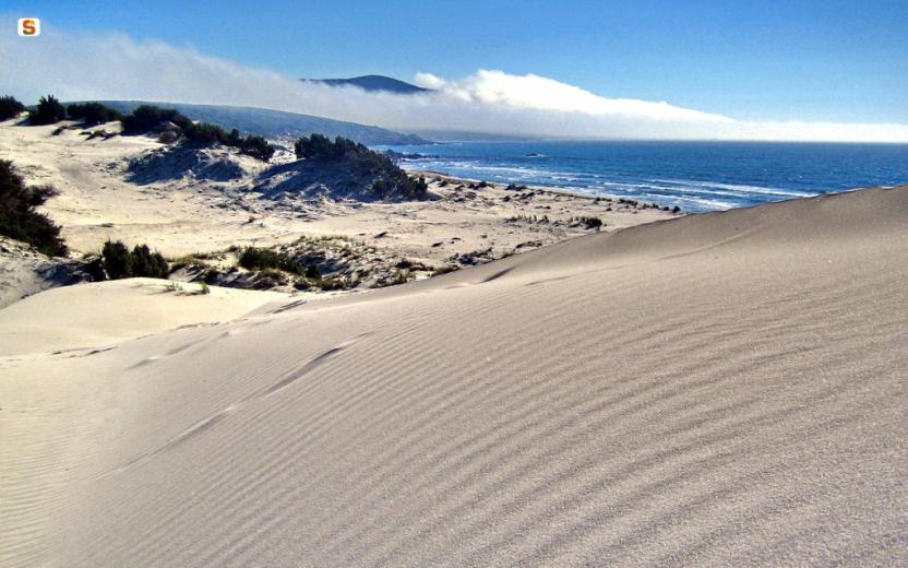 Teulada, le dune di Porto Pino