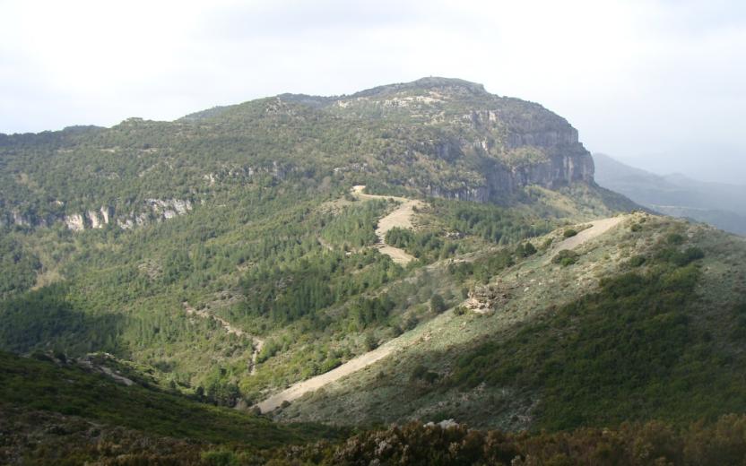 Vista di Montarbu da Perda Liana