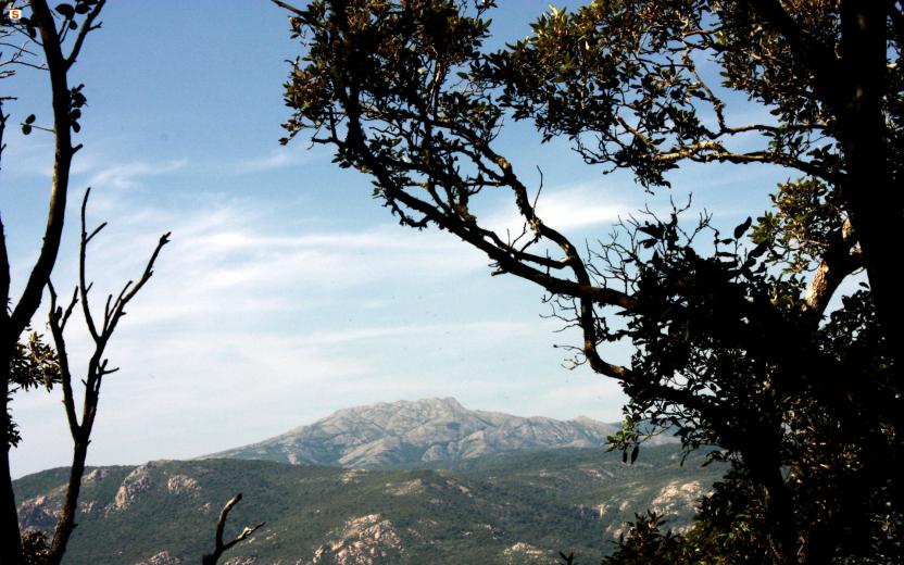 Panorama verso il massiccio del Monte Linas da Marganai