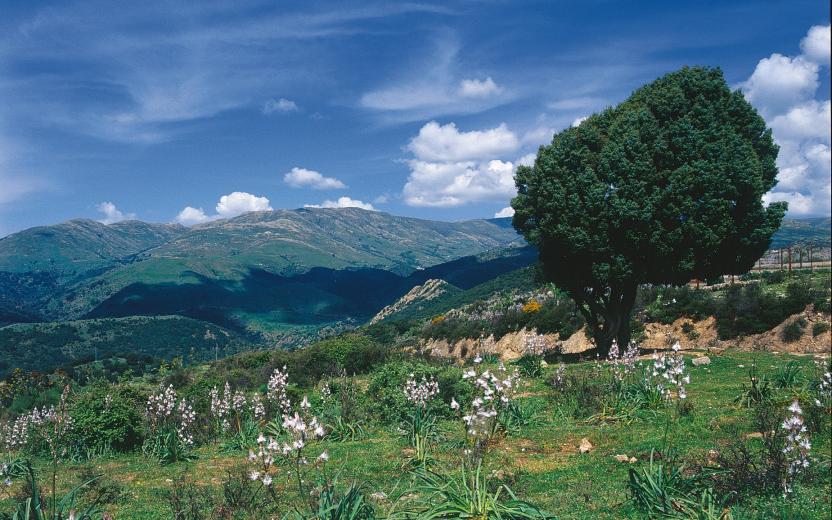 Arzana, paesaggio del Gennargentu