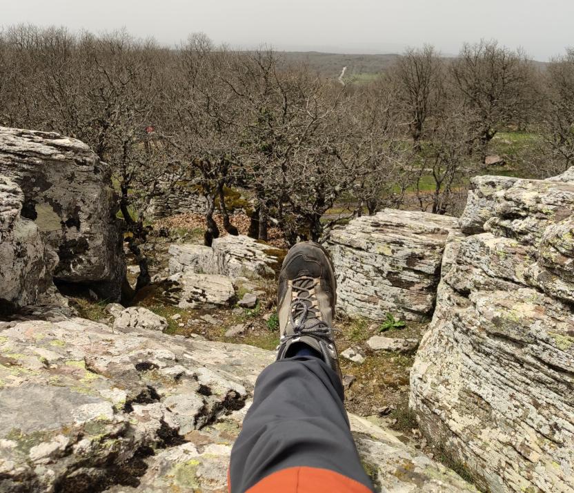 scarpa da trekking