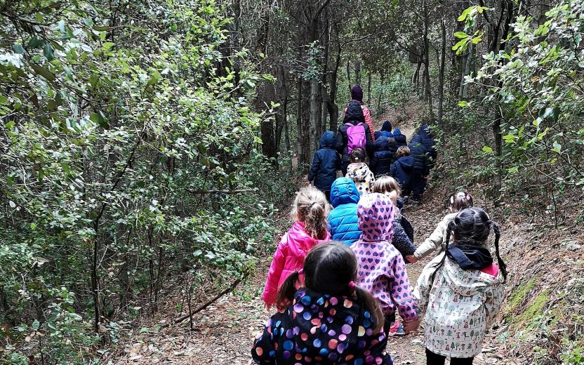 Passeggiata lungo il bosco nei sentieri di Perd'e Pibera  