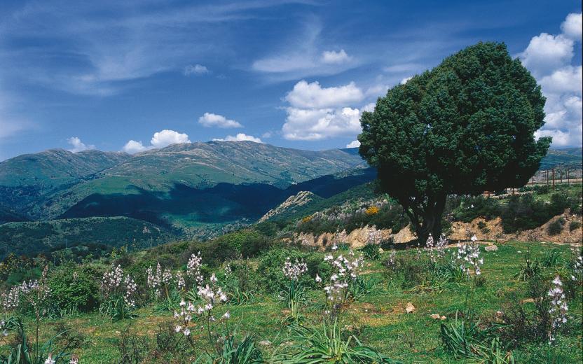 Arzana, paesaggio del Gennargentu