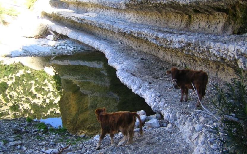 Urzulei, Junturas del Supramonte