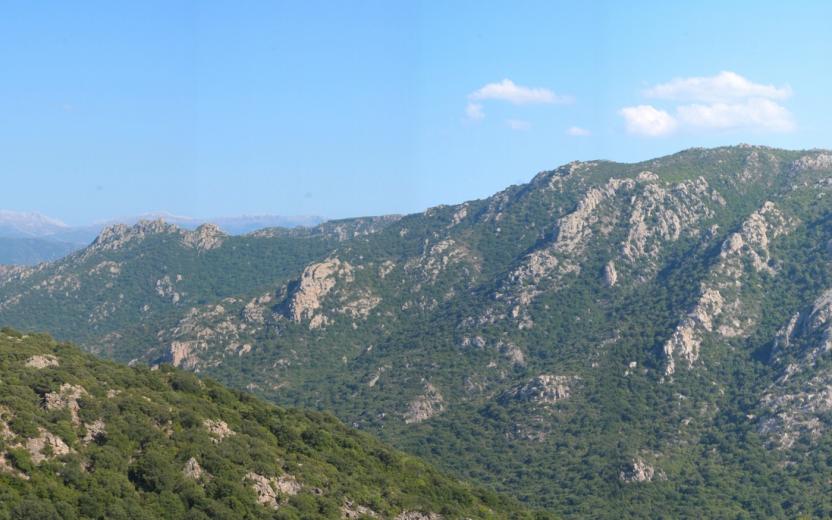Foresta di Sos Littos, panoramica di Monte Piatteri