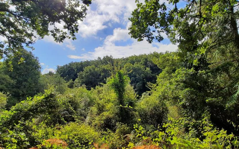 Panorama dalla Area di sosta di Sa Minda