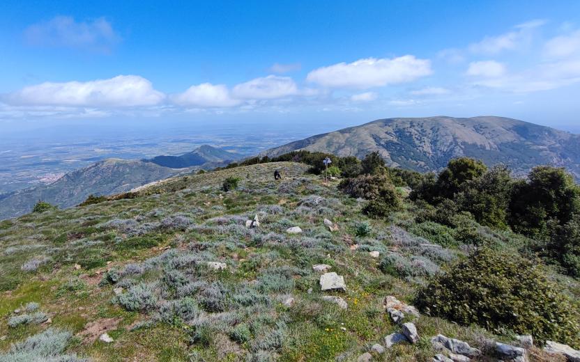 Panorama da Punta conca de sa rutta