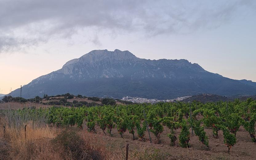 Oliena con dietro il monte Corrasi