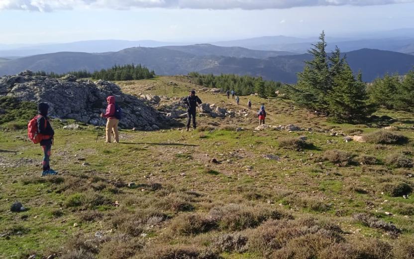 Aritzo. Punta 'e Funtana Cungiada