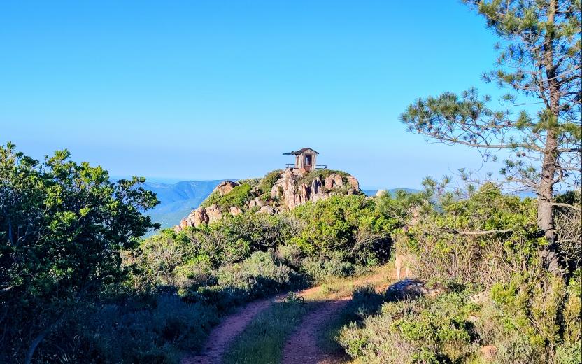 Lungo il sentiero C 400A - Monte Genis, Villasalto