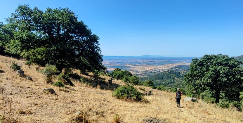 Panorama estivo da Punta Burgunello