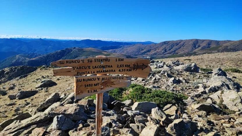 Su Runcu 'e Alluenfogu