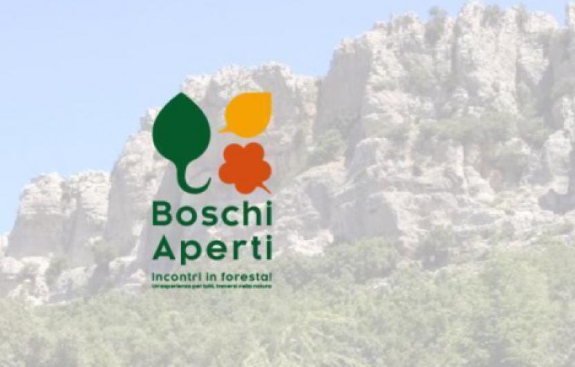 Boschi aperti