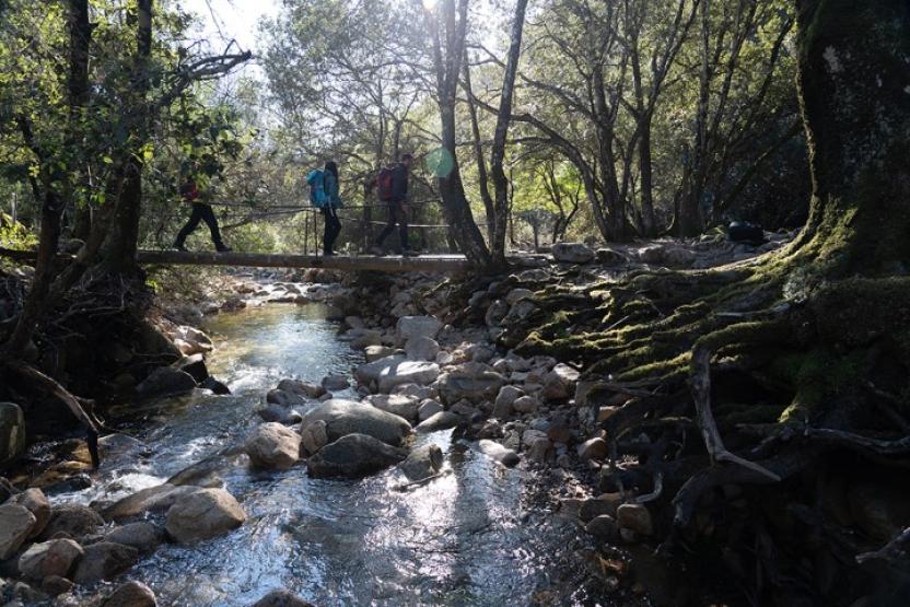 Tappa 03 - Variante - Passaggio per la foresta di Monti Mannu Itinerario in bicicletta