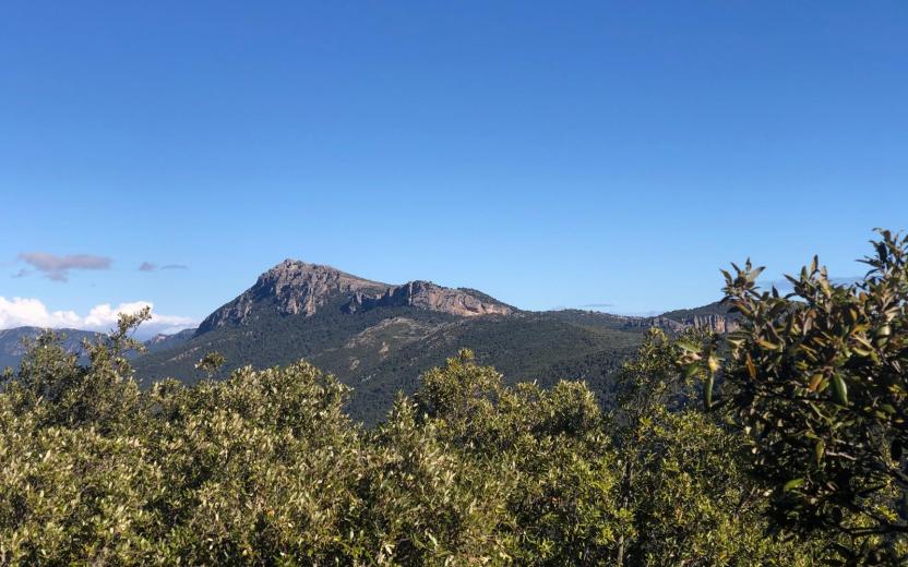 Panorama visto dall'itinerario medio B - Montes, Orgosolo