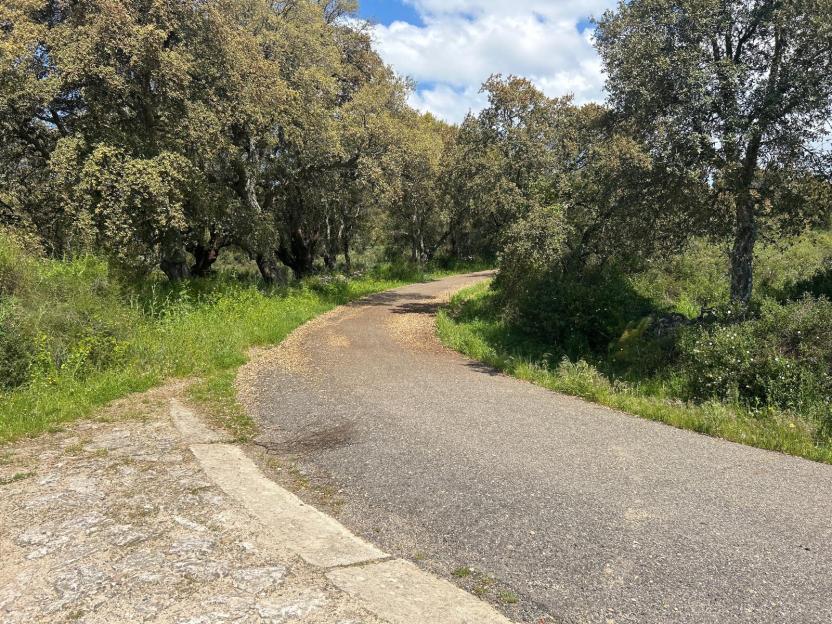 Area Archeologica Perda Litterada - Ortueri