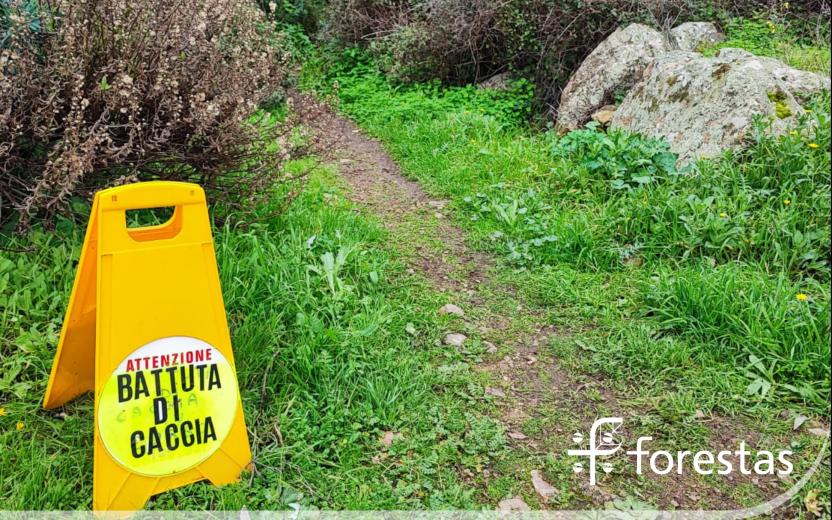 Battuta di caccia su sentiero