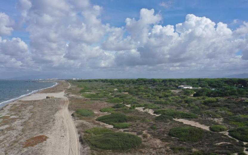 Lungo la spiaggia zona camping, S'Ena Arrubia, Arborea