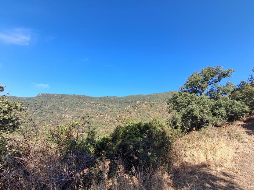 Vista da un tratto del sentiero G648