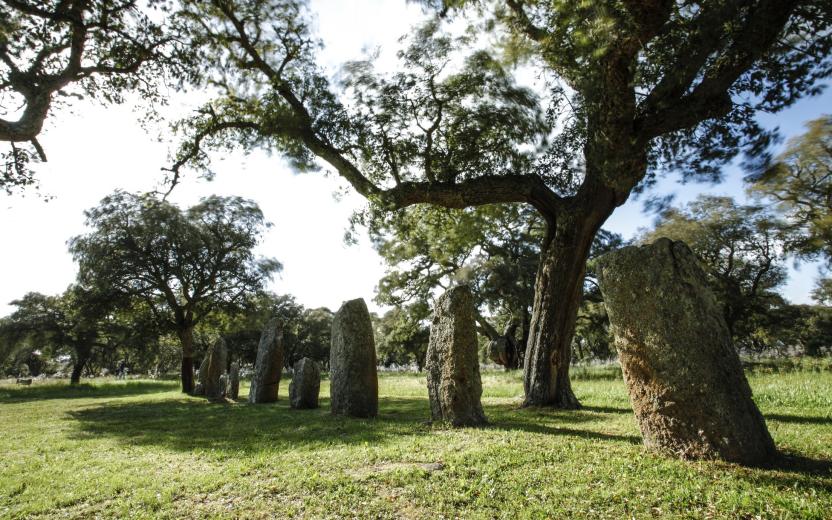 Area archeologica, Pranu Muttedu - Goni
